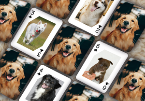 RUSH Pet Dog Playing card