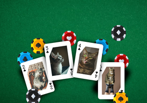 RUSH Custom Cat Playing Card Deck