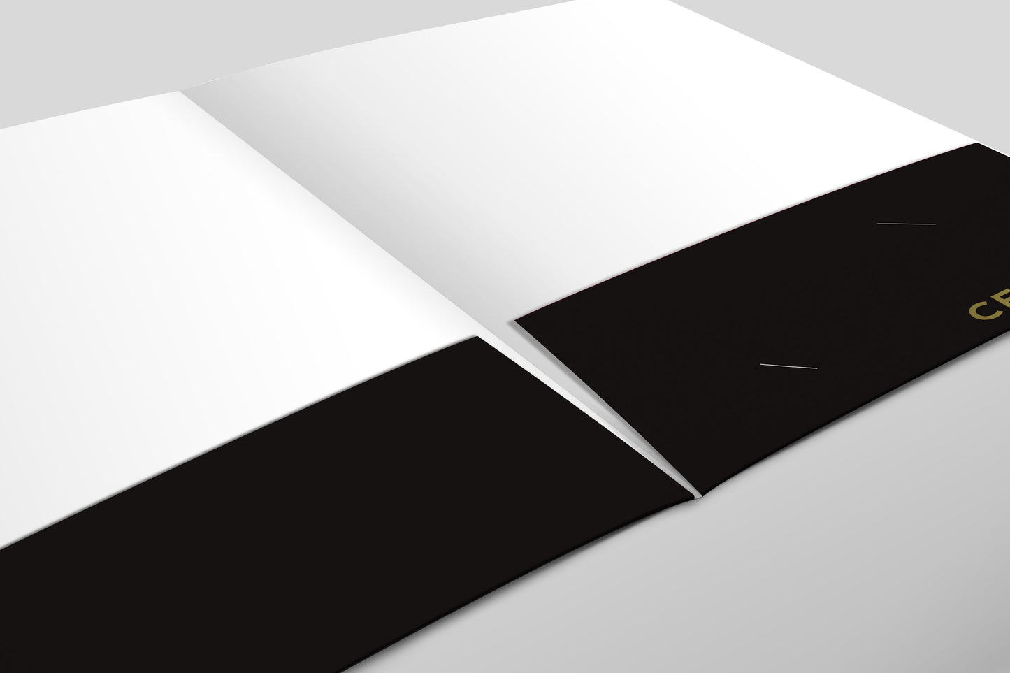 Century 21  | Presentation Folder | Luxury