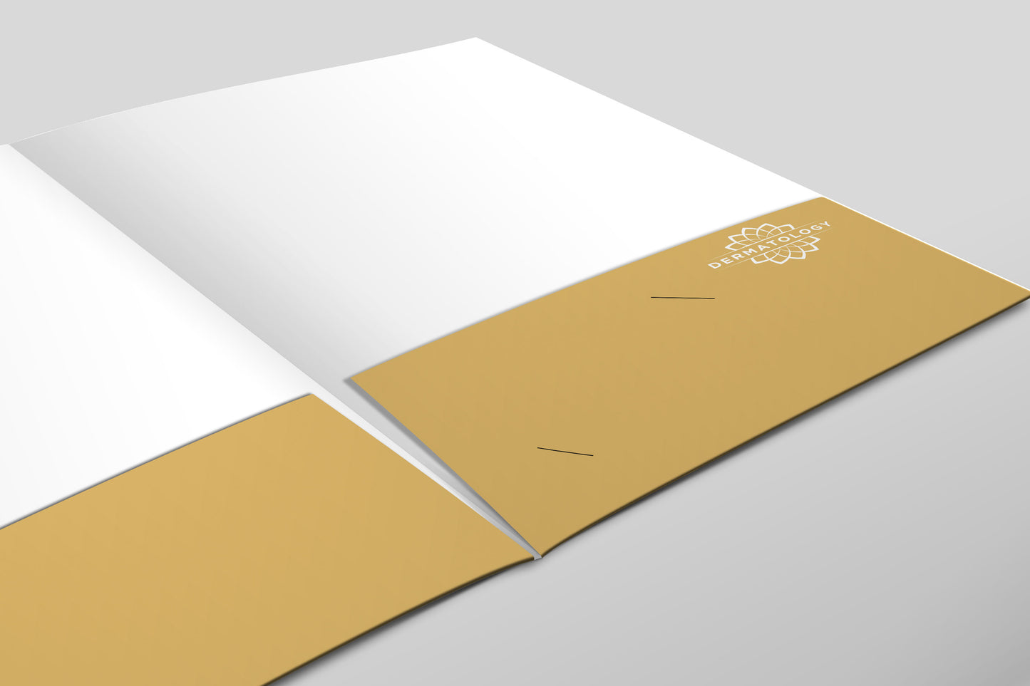 Presentation Folder | Custom | Marketing for Dermatology